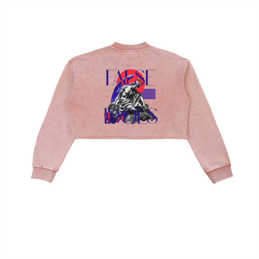 Snow Washed Raw Edge Cropped Sweatshirt